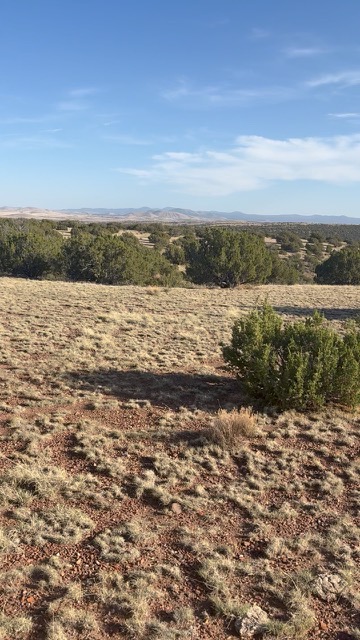 The raw high-desert land when the West family first purchased it
